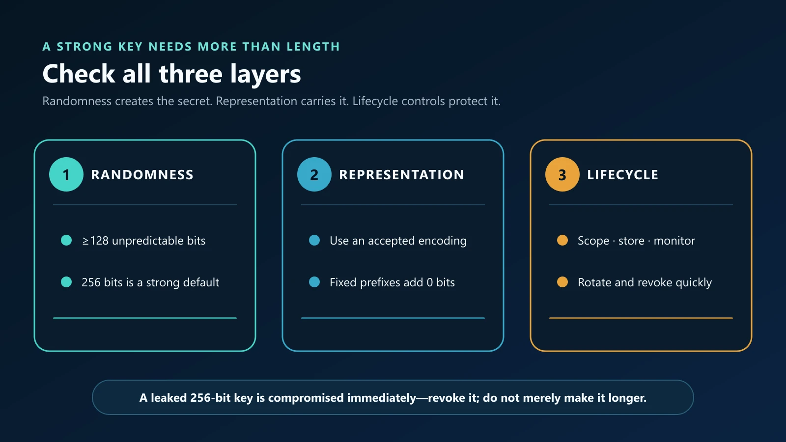 API key decision checklist covering randomness, representation, and lifecycle controls